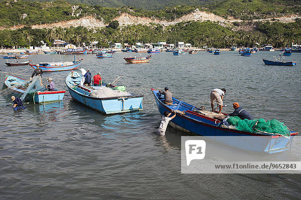 Fishermen in their fishing boats unloading their catch  Vinh Hy Bay  South China Sea  Vietnam  Asia