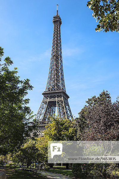 Eiffel Tower  Paris  France  Europe