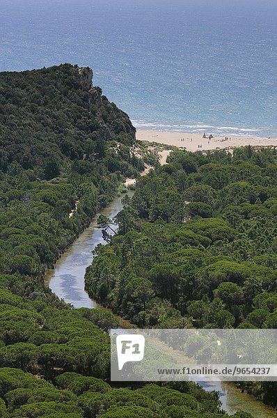 Entwässerungskanal und Sandstrand im Naturpark Maremma  Parco Naturale della Maremma  bei Alberese  Provinz Grosseto  Toskana  Italien  Europa