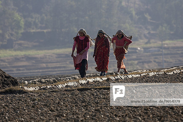 Nepalesische Bäuerinnen mit Körben laufen im Feld  bei Panauti  Nepal  Asien