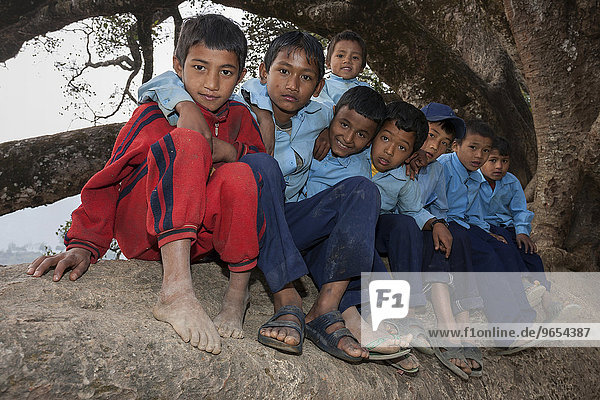 Nepalese students wearing school uniforms sitting on a tree  Bandipur  Nepal  Asia