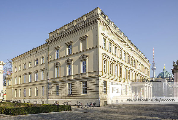 Palais am Festungsgraben  Berlin  Deutschland  Europa