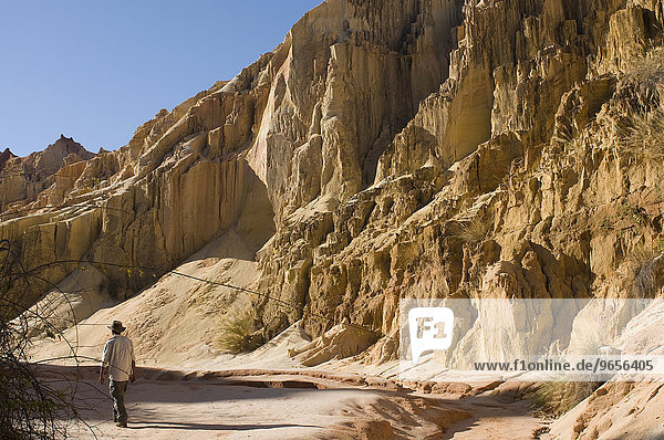 Parkranger geht zwischen Kalksteinformationen  Tsingy  Ankarafantsika Nationalpark  Madagaskar  Afrika