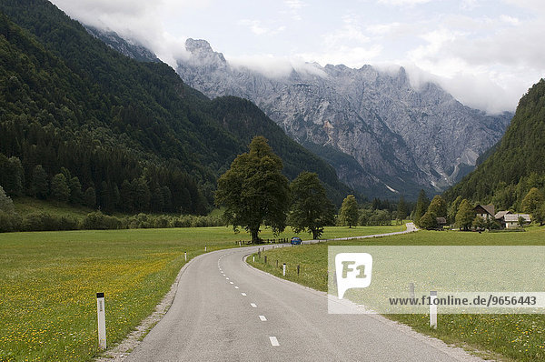 Landstraße führt durch Tal  Logarska  Slowenien  Europa