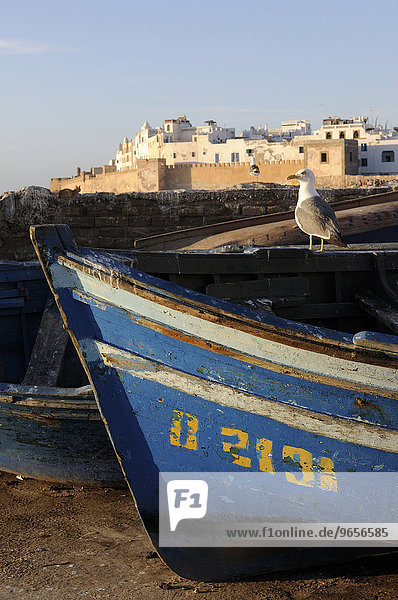Fischerboot vor der befestigten Wasserfront von Essaouira  Marokko  Afrika
