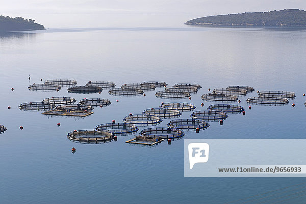 Fischaufzuchtstation in einer stillen Bucht des Mittelmeers  nahe Galaxidi  Griechenland  Europa