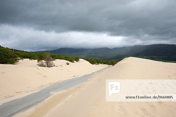 Wandering dune of Bolonia  Tarifa  Andalusia  Spain  Europe