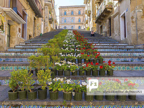 The Santa Maria del Monte staircase with ceramic tiles and potted plants  Caltagirone  Province of Catania  Sicily  Italy  Europe