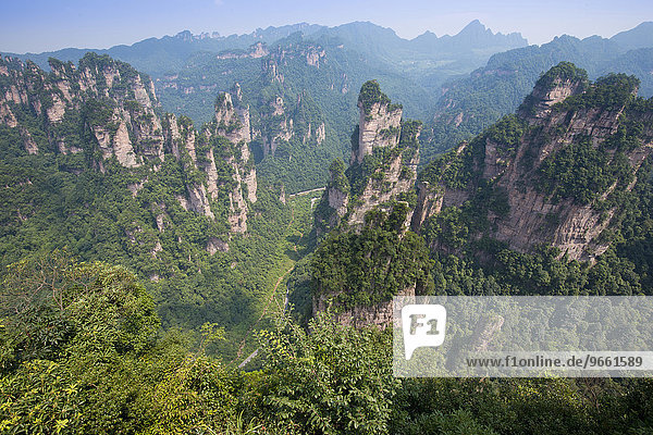 Sandstone pillars in the mountains of Zhangjiajie  Wulingyuan Scenic and Historic Interest Area  Hunan Province  China  Asia