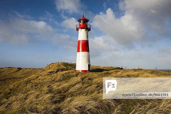 Der rot-weiß gestreifte Leuchtturm List Ost auf der Sylter Halbinsel Ellenbogen  List  Sylt  Nordfriesland  Schleswig-Holstein  Deutschland  Europa
