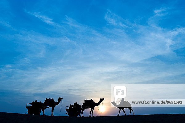 India Rajasthan Jaisalmer Camel Ride sunset.