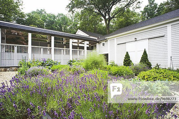 Garten mit Lavendel- & Kräuterbeeten