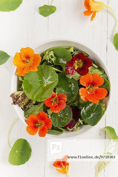 Bunter Salat mit Brunnenkresseblüten und -blätter