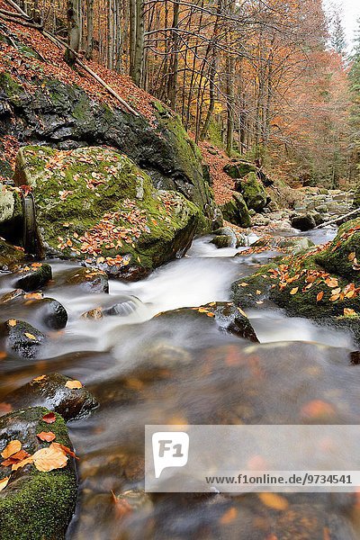 Landschaft Wald Herbst Wasserbau bayerisch