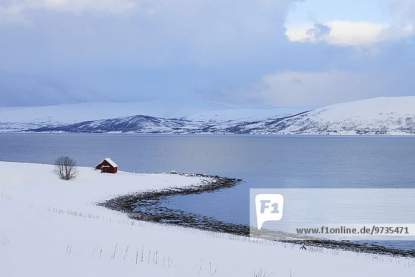 Einsames Haus am Grotsund  Tromsö  Troms  Norwegen  Europa