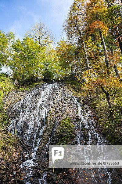 Wasserfall der Rottach im Herbst  Rottach-Egern  Tegernseer Tal  Bayern  Deutschland  Europa