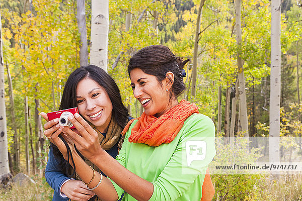 Friends looking at digital camera in forest