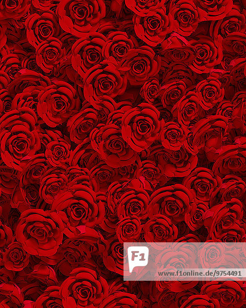 Formatfüllendes Arrangement roter Rosen