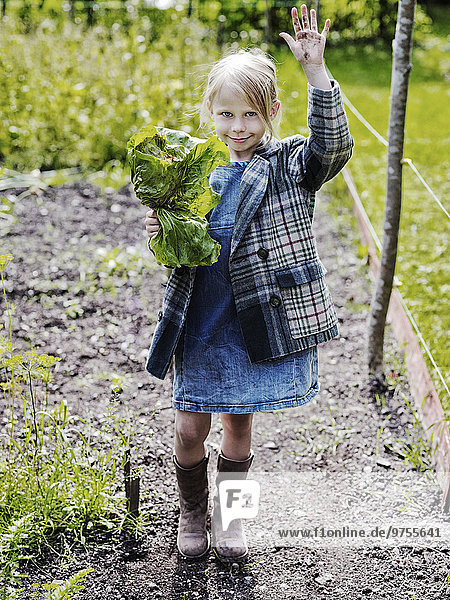 Girl holding lettuce on vegetable patch