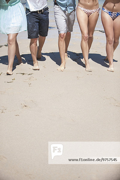 Friends walking on beach