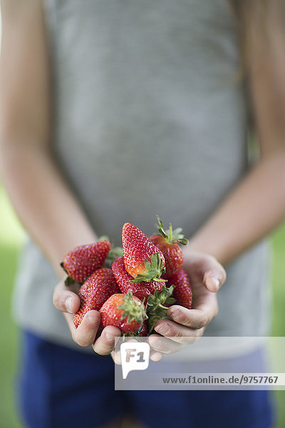 Hände eines Jungen  der Erdbeeren hält
