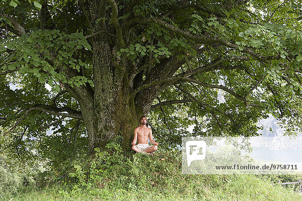 Österreich  Salzkammergut  Mondsee  Mann beim Meditieren unter einer alten Linde
