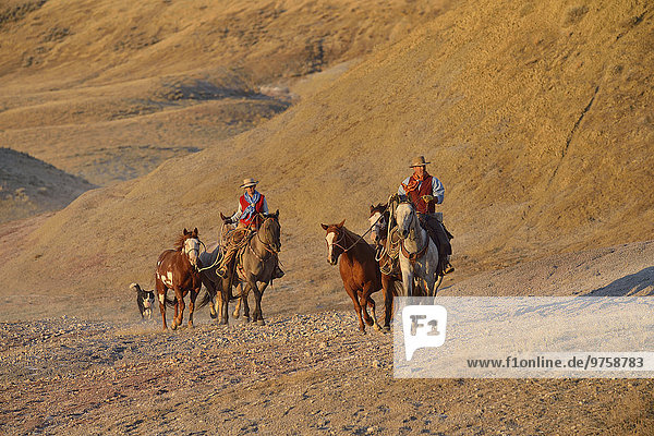 USA  Wyoming  Cowboy und Cowgirl führende Pferde in Badlands