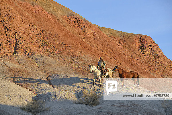 USA  Wyoming  cowgirl with two horses in badlands