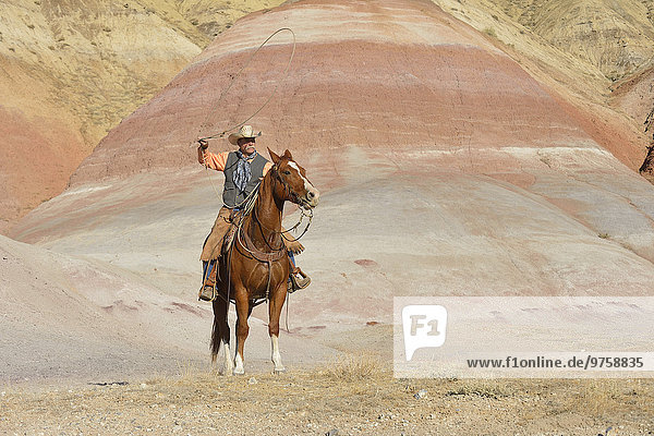 USA  Wyoming  Big Horn Mountains  Cowboy auf dem Pferd schwingendes Lasso