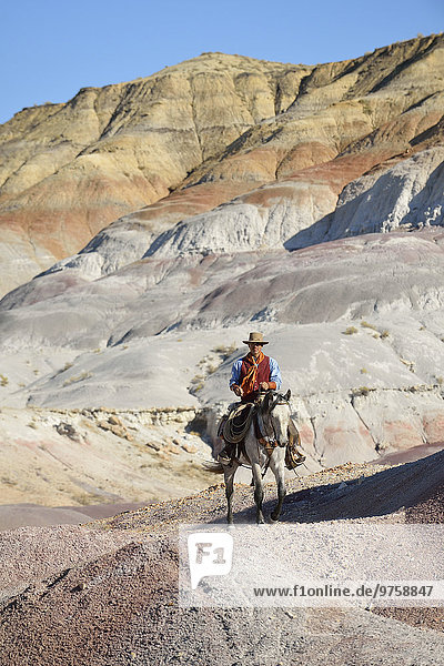 USA  Wyoming  Big Horn Mountains  Reiten Cowboy
