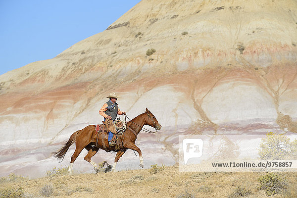 USA  Wyoming  Cowboyreiten in Badlands