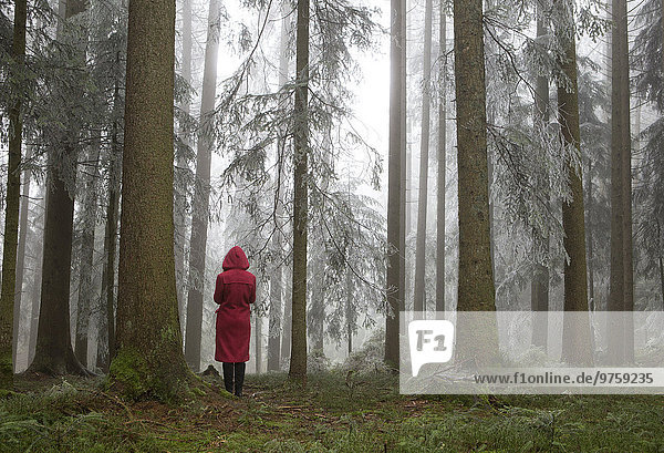 Österreich  Frau allein im Wald stehend