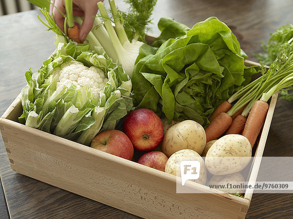 Handaufnahmekiste mit frischem Obst und Gemüse