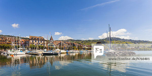 Schweiz  Lutry  Genfersee  Yachthafen