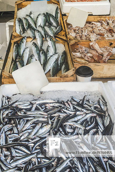 Griechenland  Athen  Frischer Fisch auf dem Markt in Piräus