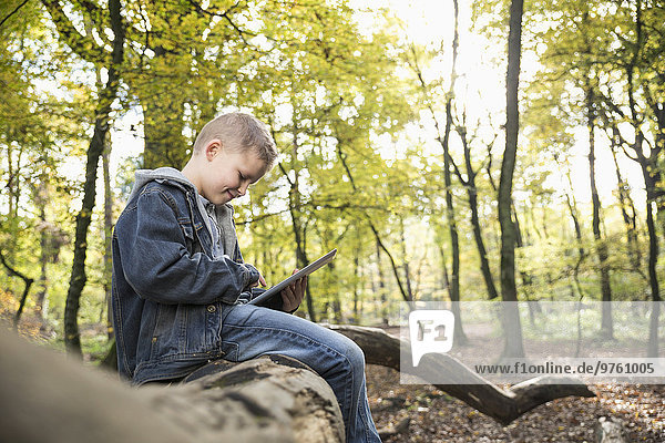 Germany  smiling little boy using digital tablet in a forest