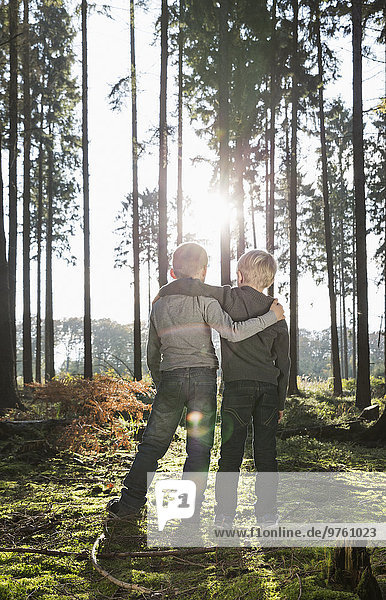 Deutschland  zwei Freunde stehen Arm in Arm im Wald