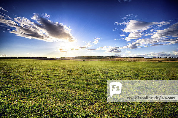 UK  Schottland  East Lothian  Feld bei Sonnenuntergang