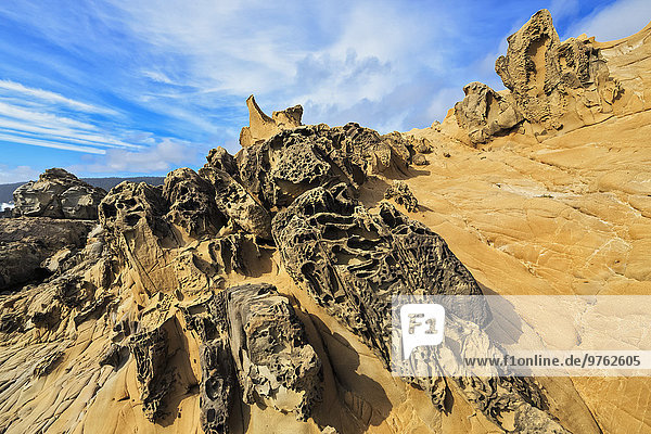 USA  California  alt Point State Park  Gerstel Cove  Sandstone Formation  Tafone