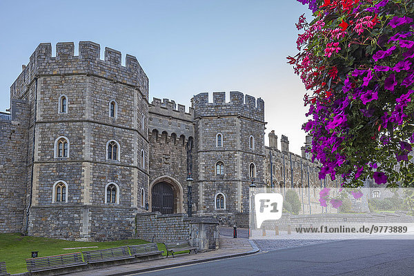 Europa Blume Palast Schloß Schlösser Korb Morgen Großbritannien hängen Berkshire England Windsor