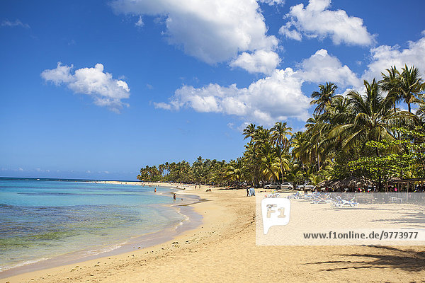 Beach at Las Terrenas  Samana Peninsula  Dominican Republic  West Indies  Caribbean  Central America