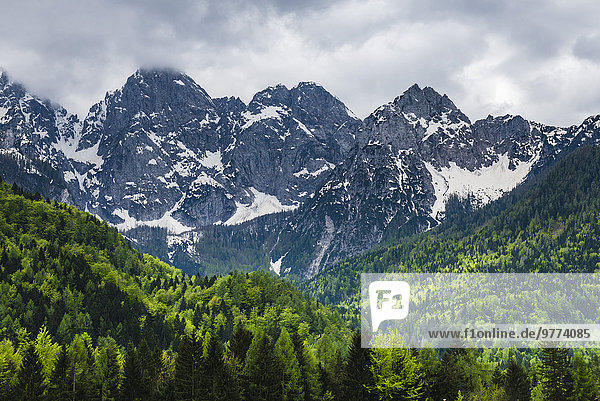 Außenaufnahme Europa Alpen Nationalpark Triglav Slowenien