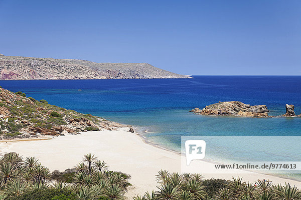 Beach and palm tree forest  Vai  Lasithi  Eastern Crete  Crete  Greek Islands  Greece  Europe
