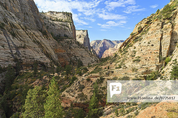 Felsbrocken Amerika Morgen aufspüren folgen über Nordamerika Verbindung zeigen Zion Nationalpark Schlucht Oktober Utah