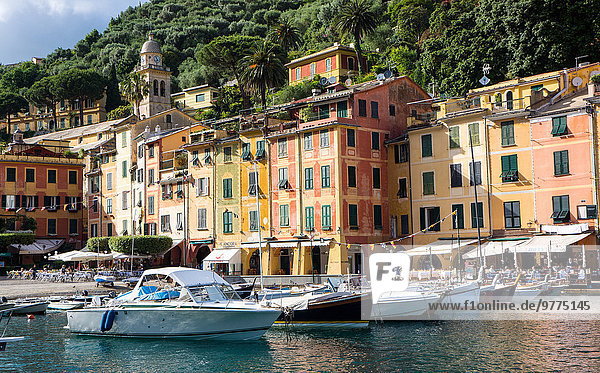 Marina  Portofino  Liguria  Italy  Europe