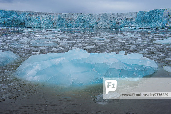 beleuchtet Europa Eis Norwegen Spitzbergen Arktis Hornsund Skandinavien Svalbard