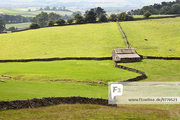 Steinmauer Europa Großbritannien trocken Feld Scheune Yorkshire and the Humber Tal England
