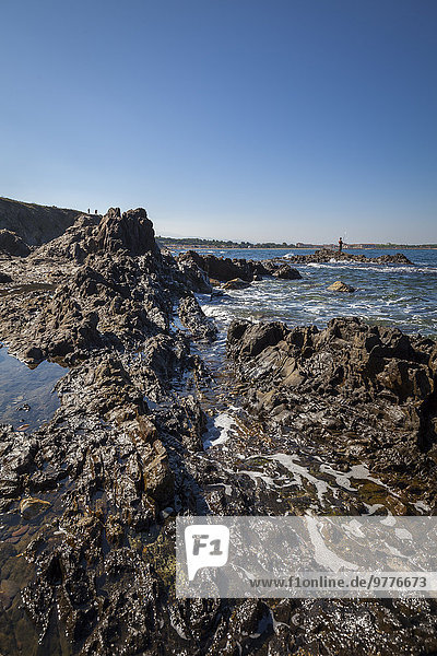 Rocky beach at low tide  Argelles  France  Europe