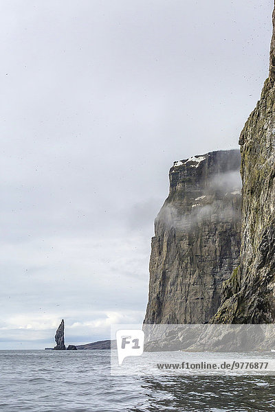 Europa Steilküste füllen füllt füllend Norwegen Insel Vogel Spitzbergen Skandinavien steil Svalbard