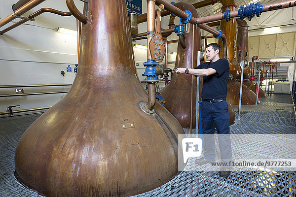 Stilleben still stills Stillleben Europa Inspektion Produktion 1 Pils Whiskey Destillerie Kupfer Schottland Skye